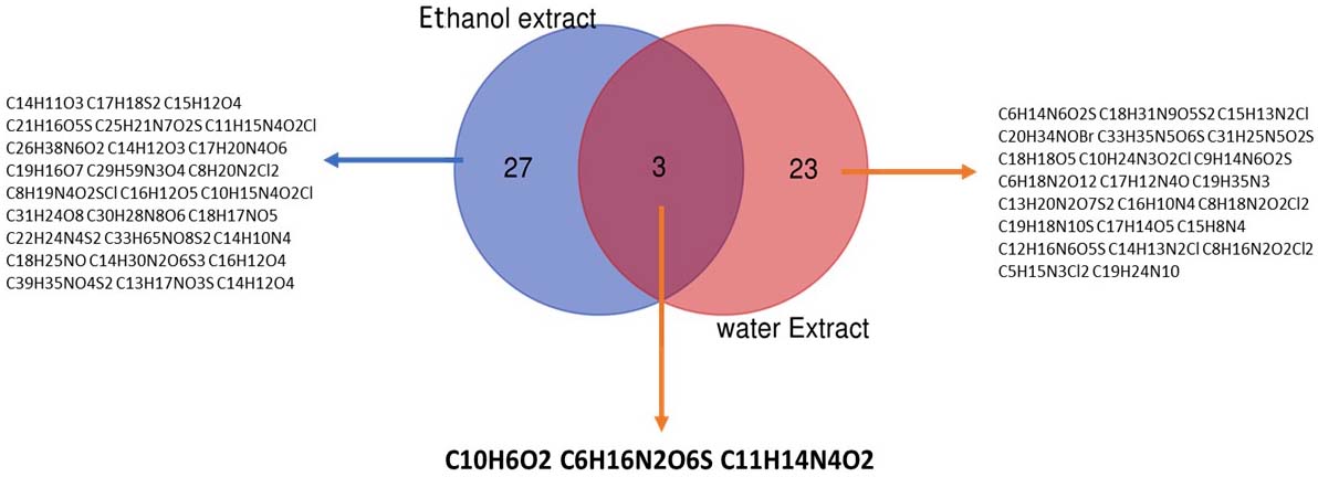 Graphical Abstract
